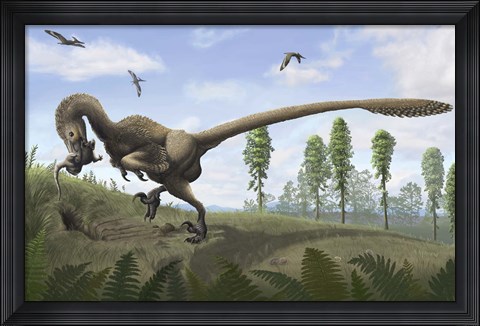 Framed Saurornitholestes seeks prey in burrows Print