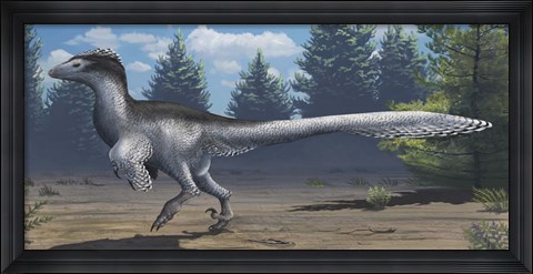 Framed mid-sized Cretaceous China deinonychosaur Print