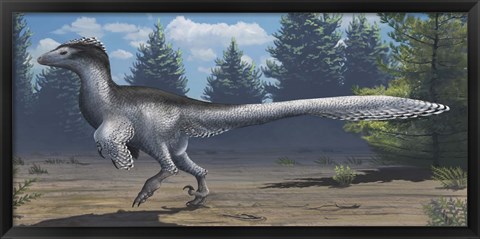 Framed mid-sized Cretaceous China deinonychosaur Print