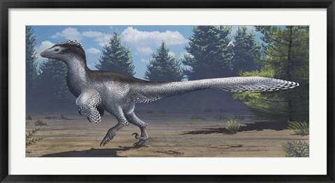 Framed mid-sized Cretaceous China deinonychosaur Print