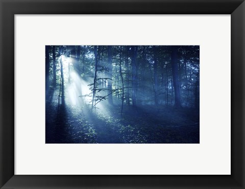 Framed Beam of light in a dark forest, Liselund Slotspark, Denmark Print