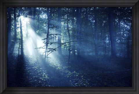 Framed Beam of light in a dark forest, Liselund Slotspark, Denmark Print