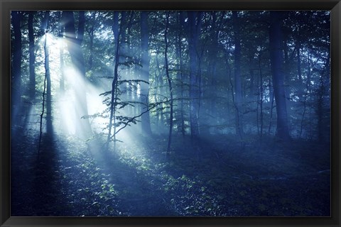 Framed Beam of light in a dark forest, Liselund Slotspark, Denmark Print