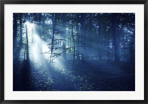 Framed Beam of light in a dark forest, Liselund Slotspark, Denmark Print