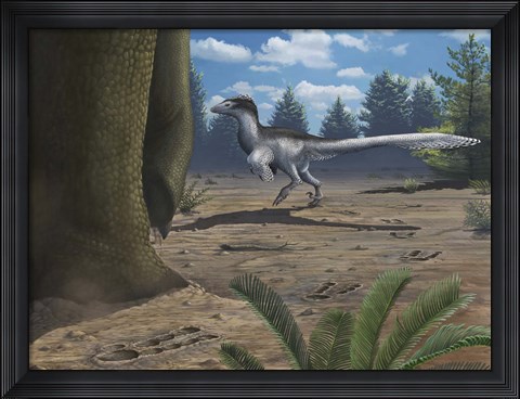 Framed deinonychosaur leaves tracks across a Cretaceous China landscape Print