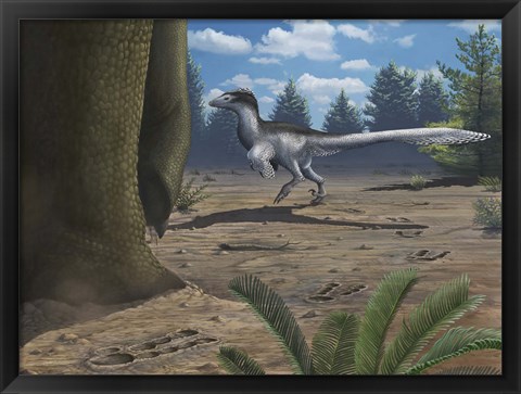Framed deinonychosaur leaves tracks across a Cretaceous China landscape Print