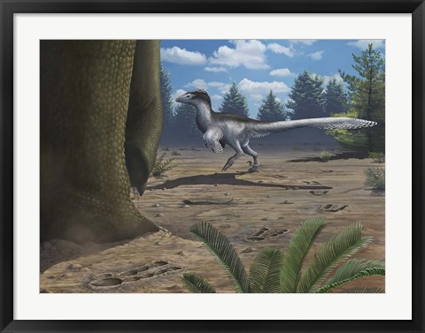 Framed deinonychosaur leaves tracks across a Cretaceous China landscape Print