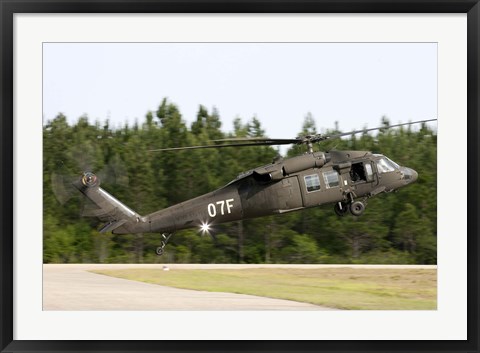 Framed US Army UH-60L Blackhawk helicopter landing at Florida Airport Print