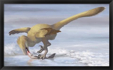 Framed Deinonychus antirrhopus preys on a fish Print