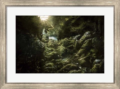 Framed Aged boulders covered with moss in the Ritsa Nature Reserve Abkhazia Print