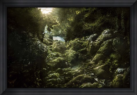 Framed Aged boulders covered with moss in the Ritsa Nature Reserve Abkhazia Print