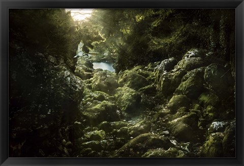 Framed Aged boulders covered with moss in the Ritsa Nature Reserve Abkhazia Print