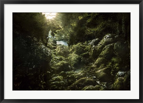 Framed Aged boulders covered with moss in the Ritsa Nature Reserve Abkhazia Print