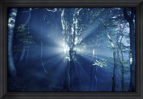 Framed Misty rays in a dark forest, Liselund Slotspark, Denmark Print