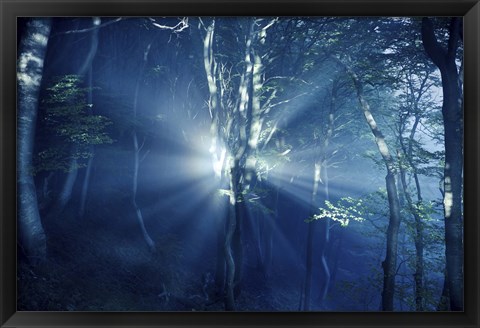 Framed Misty rays in a dark forest, Liselund Slotspark, Denmark Print