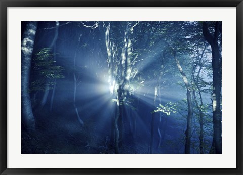 Framed Misty rays in a dark forest, Liselund Slotspark, Denmark Print