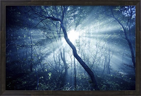 Framed Sun rays in a dark forest, Liselund Slotspark, Denmark Print