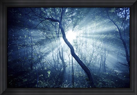 Framed Sun rays in a dark forest, Liselund Slotspark, Denmark Print