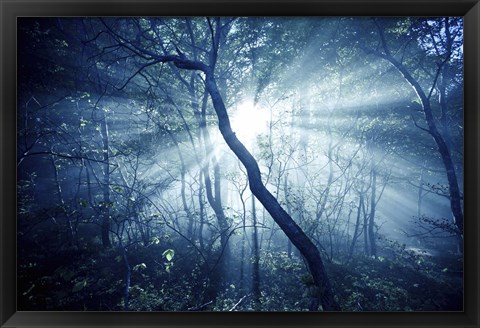 Framed Sun rays in a dark forest, Liselund Slotspark, Denmark Print