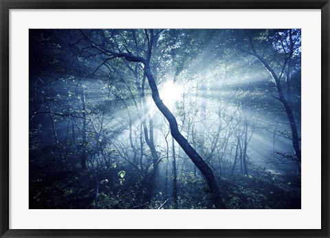 Framed Sun rays in a dark forest, Liselund Slotspark, Denmark Print