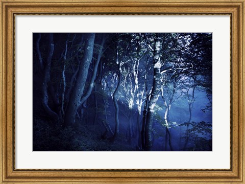 Framed Dark forest, Liselund Slotspark, Denmark Print