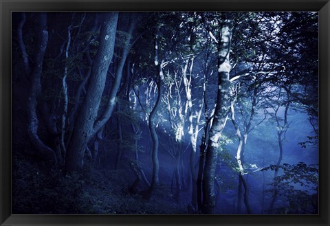 Framed Dark forest, Liselund Slotspark, Denmark Print