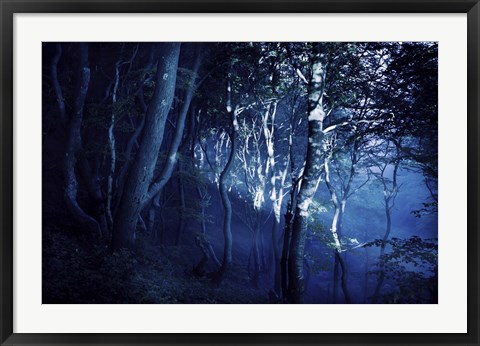 Framed Dark forest, Liselund Slotspark, Denmark Print