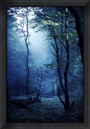 Framed Misty, dark forest, Liselund Slotspark, Denmark Print