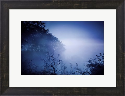Framed Silhouettes of trees and branches in a dark, misty forest, Denmark Print