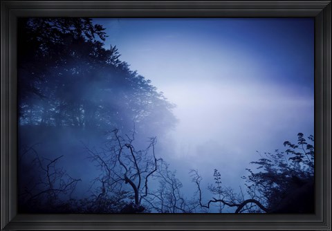 Framed Silhouettes of trees and branches in a dark, misty forest, Denmark Print