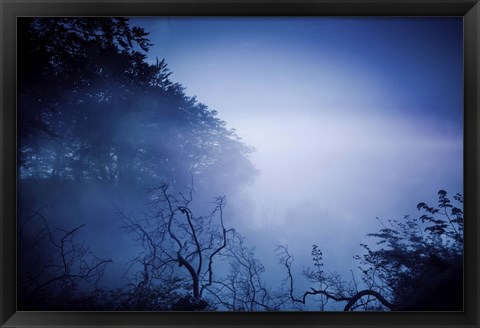 Framed Silhouettes of trees and branches in a dark, misty forest, Denmark Print