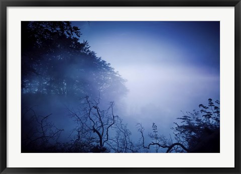 Framed Silhouettes of trees and branches in a dark, misty forest, Denmark Print