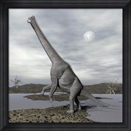 Framed Brachiosaurus dinosaur backdropped by a full moon Print