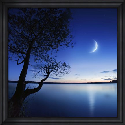 Framed Silhouette of a lonely tree in a lake against a starry sky and moon Print