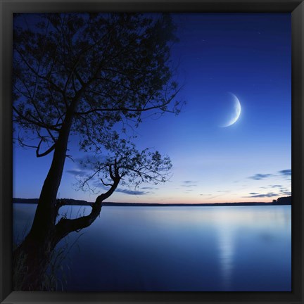 Framed Silhouette of a lonely tree in a lake against a starry sky and moon Print