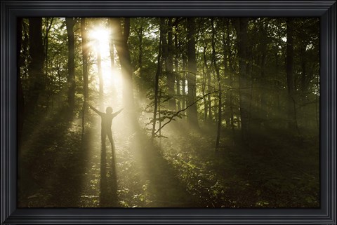 Framed Silhouette of a man standing in the sunrays of a dark, misty forest, Denmark Print