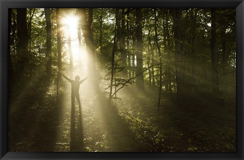 Framed Silhouette of a man standing in the sunrays of a dark, misty forest, Denmark Print