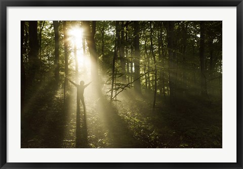 Framed Silhouette of a man standing in the sunrays of a dark, misty forest, Denmark Print