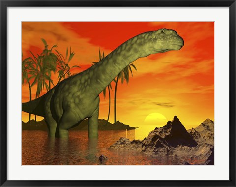 Framed Large Argentinosaurus dinosaur in water at sunset Print