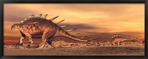 Framed Kentrosaurus mother and baby walking in the desert by sunset Print