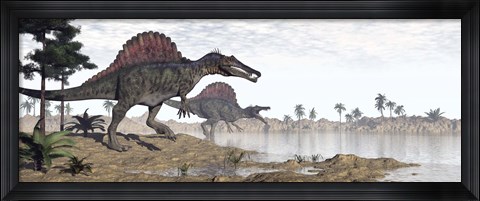 Framed Two Spinosaurus dinosaurs walking to the water in a desert landscape Print