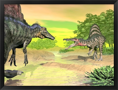 Framed Confrontation between two Spinosaurus dinosaurs Print