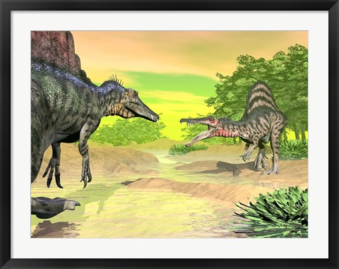 Framed Confrontation between two Spinosaurus dinosaurs Print