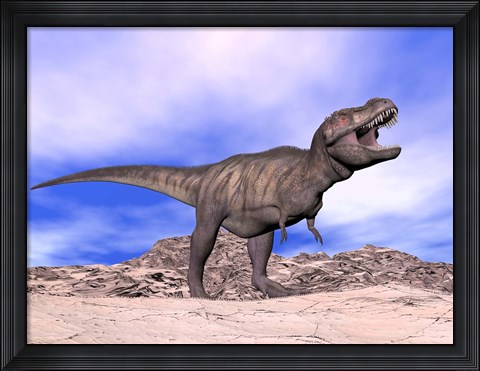 Framed Aggressive Tyrannosaurus Rex dinosaur in the desert Print