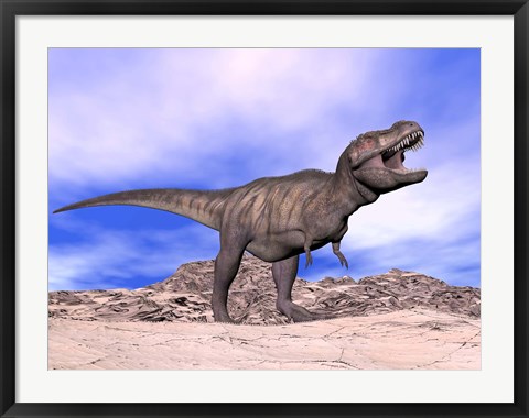 Framed Aggressive Tyrannosaurus Rex dinosaur in the desert Print