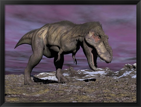 Framed Aggressive Tyrannosaurus Rex dinosaur walking in the desert Print