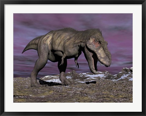 Framed Aggressive Tyrannosaurus Rex dinosaur walking in the desert Print