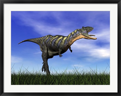 Framed Aucasaurus dinosaur running in the grass Print