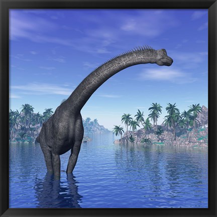 Framed Brachiosaurus dinosaur in a tropical climate Print
