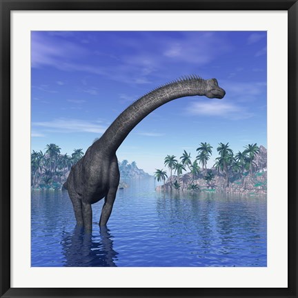 Framed Brachiosaurus dinosaur in a tropical climate Print